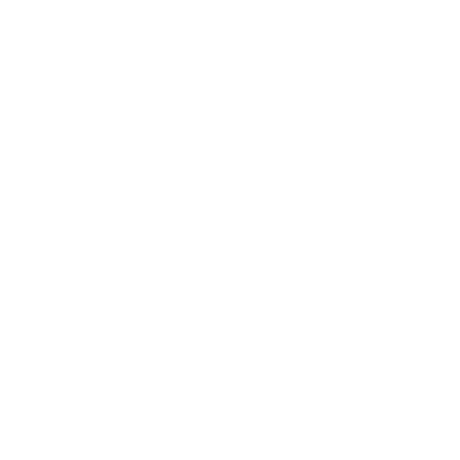 DNS Icon