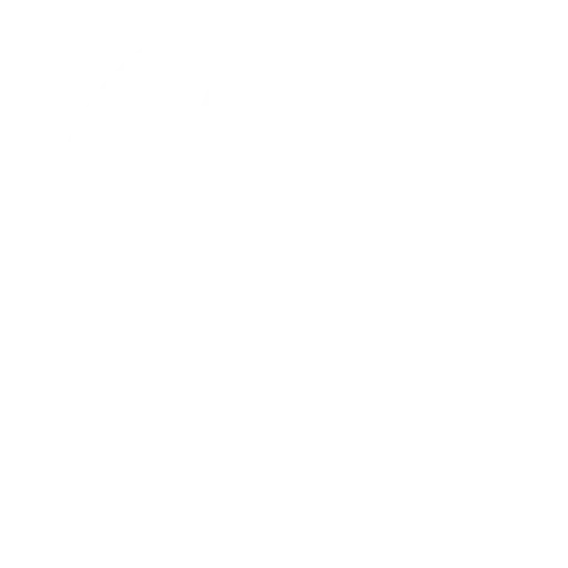 DNS Icon